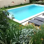L'ile Aux Mimosas *