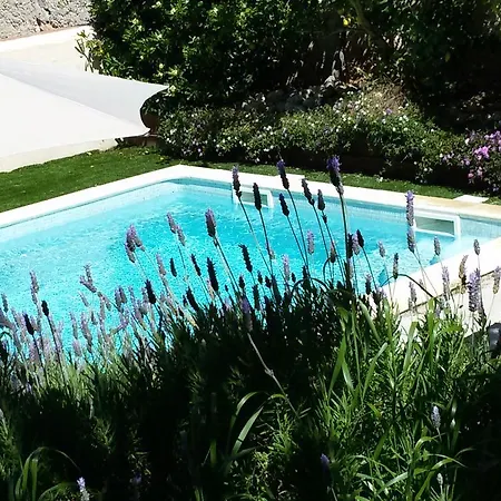 L'ile Aux Mimosas * Tautavel