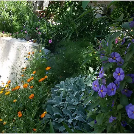 L'ile Aux Mimosas Bed & Breakfast *