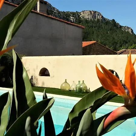 L'ile Aux Mimosas Bed & Breakfast Tautavel