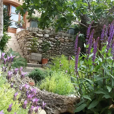 L'ile Aux Mimosas Tautavel