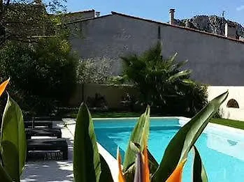 L'ile Aux Mimosas * Tautavel